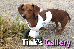 Tink's Gallery