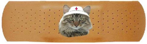 Henry-bandage