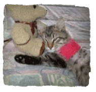 Henry resting