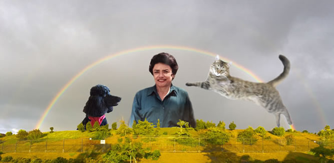 Rainbow of Love