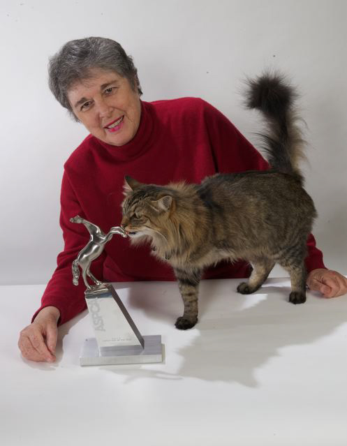 _PIC1342%20-%20Version%202_3