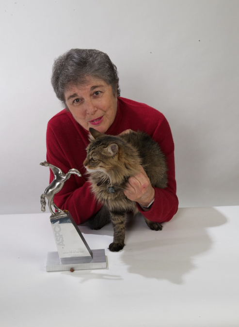 _PIC1361%20-%20Version%202